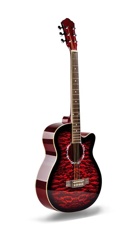 linden high-gloss colored student acoustic guitar (3)