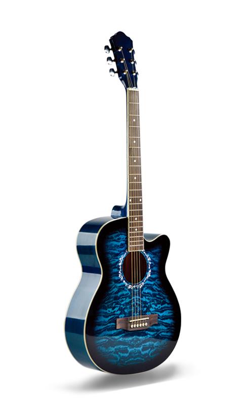linden high-gloss colored student acoustic guitar