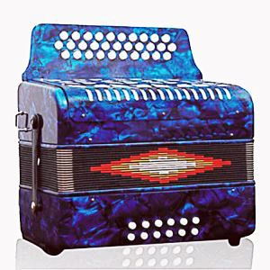 31 Taste 12 Bass Taste Akkordeon