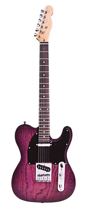 Flame Maple E-Gitarre